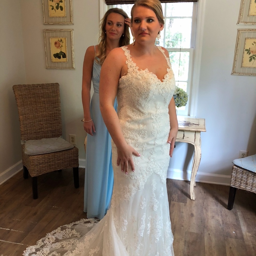 Pronovias fit and flare wedding gown